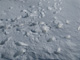 slides/IMG_3105.jpg IMG_3105