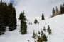 slides/_MG_8876.jpg _MG_8876