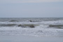 slides/_MG_2281.jpg _MG_2281