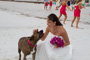 slides/_MG_2336.jpg _MG_2336