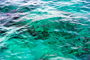 slides/IMG_0170_Edit.jpg IMG_0170_Edit