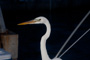 slides/IMG_0204.jpg IMG_0204