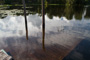 slides/_MG_8866.jpg _MG_8866
