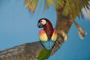 slides/_MG_7467.jpg _MG_7467
