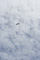 slides/IMG_0488.jpg IMG_0488