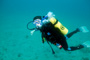 slides/IMG_6113_Edit.jpg Alan, Coral Sea Fans Rocks, Underwater IMG_6113_Edit