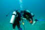 slides/IMG_6126_Edit.jpg Coral Sea Fans Rocks, Daniel, Kyle, Underwater IMG_6126_Edit