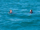 slides/IMG_9075.jpg Daniel, Kyle IMG_9075