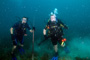 slides/_MG_6202_Edit.jpg Coral Sea Fans Rocks, Daniel, Kyle, Underwater _MG_6202_Edit
