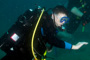 slides/_MG_6211_Edit.jpg Alan, Coral Sea Fans Rocks, Underwater _MG_6211_Edit