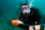 slides/_MG_6218_Edit.jpg Catch, Coral Sea Fans Rocks, Daniel, Underwater _MG_6218_Edit