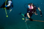slides/_MG_6244_Edit.jpg Alan, Coral Sea Fans Rocks, Kyle, Underwater _MG_6244_Edit