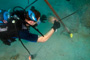 slides/_MG_6258_Edit.jpg Coral Sea Fans Rocks, Kyle, Underwater _MG_6258_Edit
