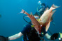 slides/_MG_6279_Edit.jpg Alan, Catch, Kyle, hogfish _MG_6279_Edit
