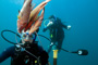 slides/_MG_6280_Edit.jpg Alan, Catch, Kyle, hogfish _MG_6280_Edit
