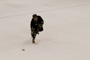 slides/_MG_6960.jpg  _MG_6960