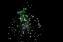slides/_MG_3233.jpg _MG_3233