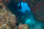slides/_MG_5173.jpg Coral Sea Fans Rocks, Underwater _MG_5173
