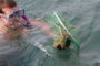 slides/_MG_4734.jpg Catch, Kyle, Lobster, Underwater _MG_4734